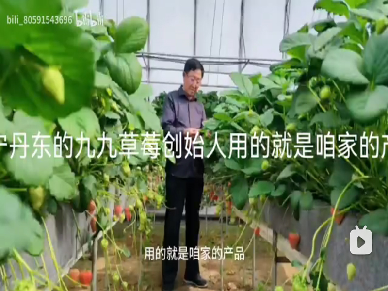 九九草莓創(chuàng)始人非常認(rèn)可我們的產(chǎn)品